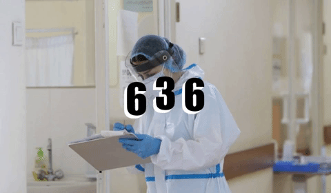 Подтверждено 636 случаев коронавирусной болезни, 19 случаев смерти