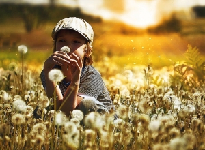 Ջերմաստիճանը 2-4 աստիճանով կբարձրանա