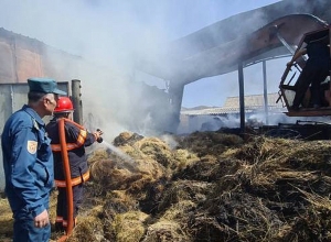 Հրդեհ Լուսակունք գյուղում․ այրվել է մոտ 200 հակ անասնակեր