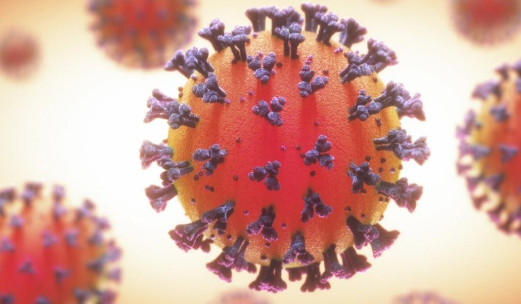 կորոնավիրուս