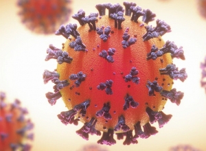 1362 новых случая, 7 смертей за сутки: коронавирус сегодня