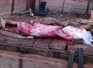 По следам браконьерства: разоблачение иджеванских полицейских