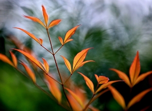 Հանրապետությունում օդի ջերմաստիճանն էապես չի փոխվի