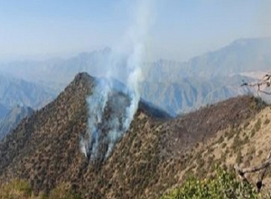 Հրդեհ «Արևիկ» ազգային պարկի տարածքում