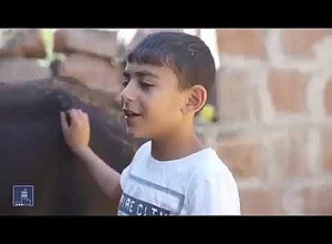 Աշխատաշուկայում անմրցունակ անձանց անասնապահությամբ զբաղվելու և Սեզոնային զբաղվածության ծրագիր