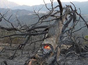 «Արևիկ» ազգային պարկում բռնկված հրդեհը մարել դեռևս չի հաջողվում