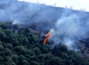 Մեծացել է անտառներում և խոտածածկ տարածքներում հրդեհների առաջացման և տարածման վտանգը․ ՆԳՆ