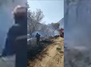 Иранские пожарные приняли участие в тушении пожара в лесном массиве Мегри