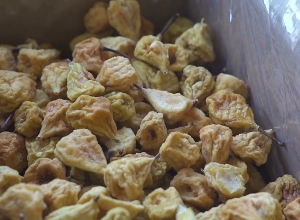 От сушилки фруктов до ресурсного центра: Грант поможет повысить производительность