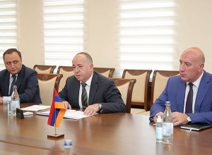 Министр обороны принял делегацию Красного креста, говорили о проблемах пленных