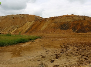 Մկնդեղը դառնում է իրական սպառնալիք Արմանիսի և Ուրասարի բնակիչների համար