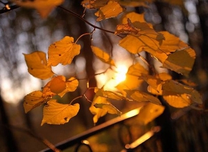 Ջերմաստիճանը բարձրանալու է