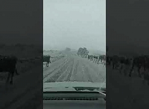 Հանրապետության լեռնային առանձին բնակավայրերում տեղում է առաջին ձյունը. Գագիկ Սուրենյանի տեսանյութը