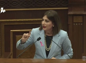 Հակամարմին ունեցողն ինչո՞ւ պիտի թեստ հանձնի կամ պատվաստվի․ Արեքնազ Մանուկյանը՝ Ավանեսյանին