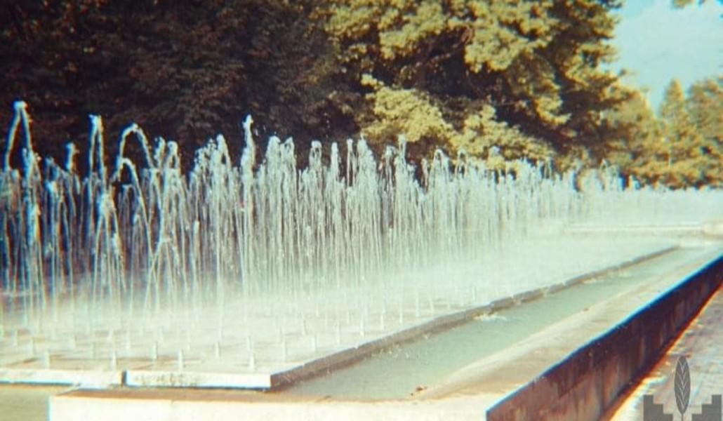 244930426_4322234804492283_4585664644934920728_n