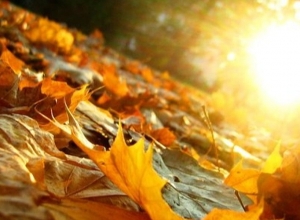 Եղանակն առաջիկա օրերին