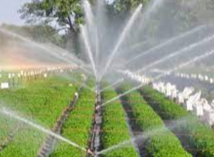 Մինչև 3 հա հողատարածքներում կաթիլային համակարգերի ներդրման դեպքում կազատվեն ոռոգման ջրի վարձավճարներից