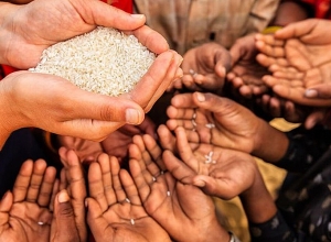 Համաշխարհային պարենային անվտանգությունը երբևէ այսչափ վտանգված չի եղել, որքան հիմա․ ՄԱԿ