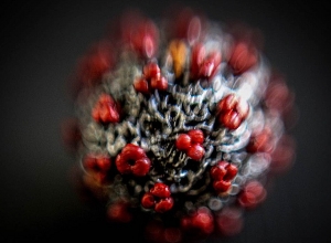 Կովիդի 7 նոր դեպք՝ Արցախում