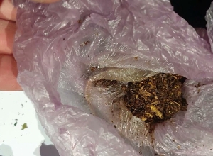 Был пойман при передаче наркотиков осуждённым