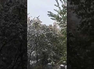 В Горисе идёт снег