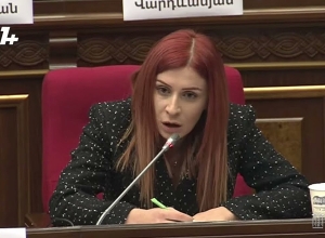 Вы можете быть агентом влияния: Хамоян - Манукяну