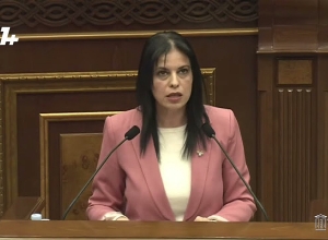 Простите, что цитирую такую чушь с трибуны НС: Арегназ Манукян