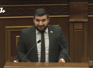 Алексанян извинился перед Анной Григорян