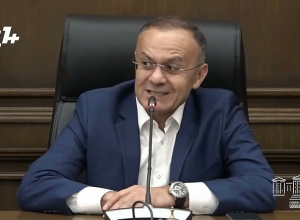 Это была внутренняя проблема Министерства обороны: Оганян