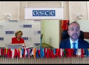 Էդուարդ Աղաջանյանն առցանց մասնակցել է ԵԱՀԿ ԽՎ աշնանային նստաշրջանին