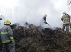Այրվել է մոտ 800 հակ անասնակեր