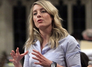 Канада глубоко обеспокоена последним столкновением на армяно-азербайджанской границе