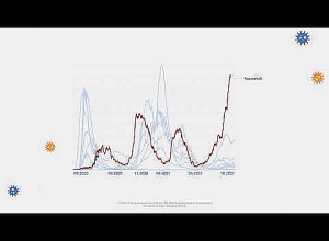 О COVID-19 говорящими цифрами