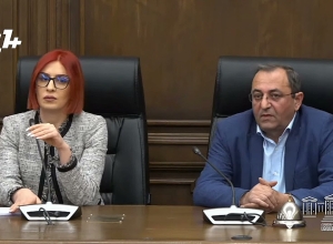 Госпожа Хамоян, зачем вы распространяете дезинформацию? Журналист