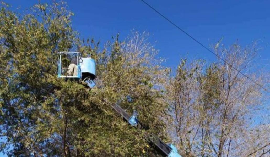 259515605_525168012366558_6680231584281084334_n