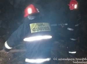 Ամասիա գյուղում այրվել է 350 հակ անասնակեր