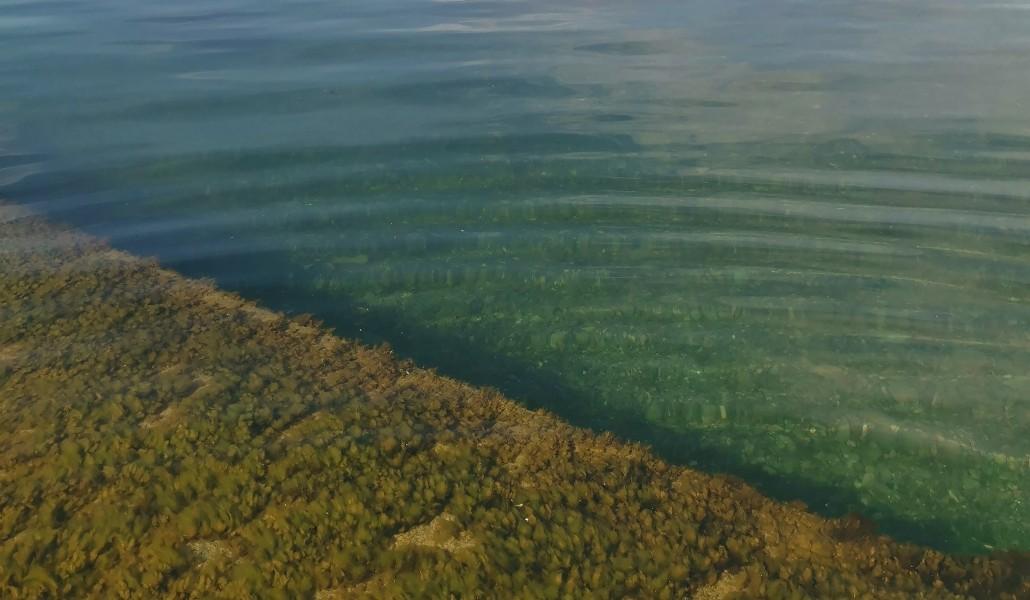 Սևանի մակարդակ