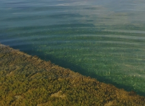 Սևանա լճի մակարդակը իջել է ևս 1 սմ-ով