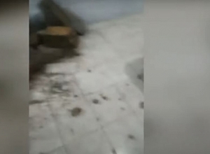 Դիակները դիահերձարանում` պատ են շարել․ ահազանգ