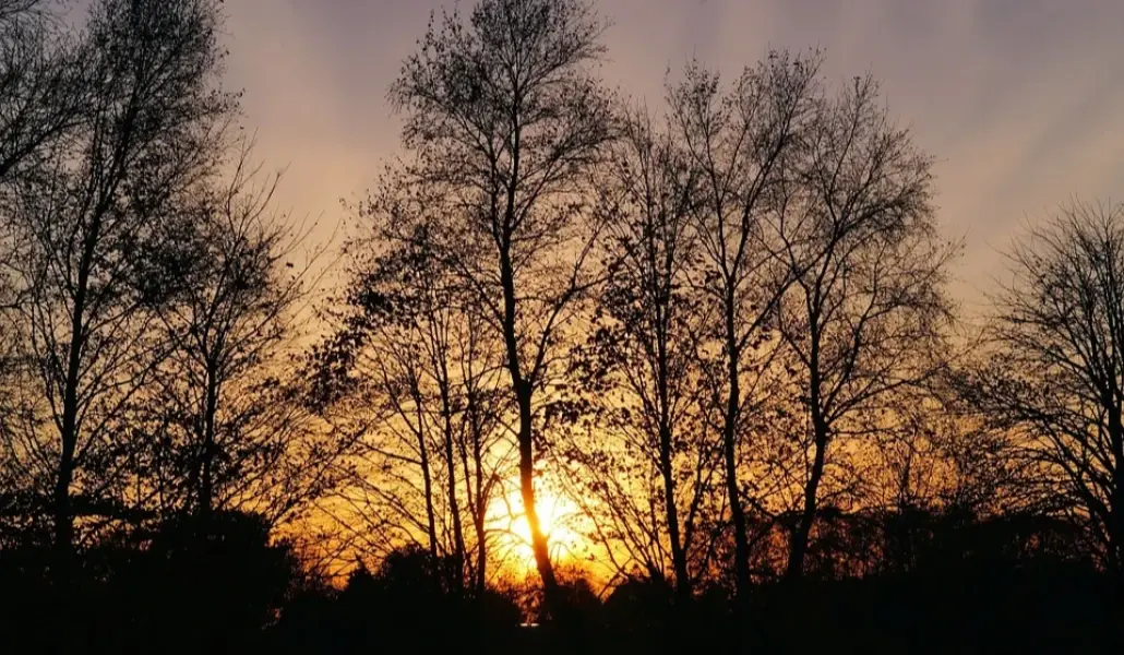 late autumn