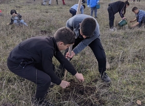 500 ծառ՝ Ներքին Խնձորեսկում հավաքված աղբի փոխարեն