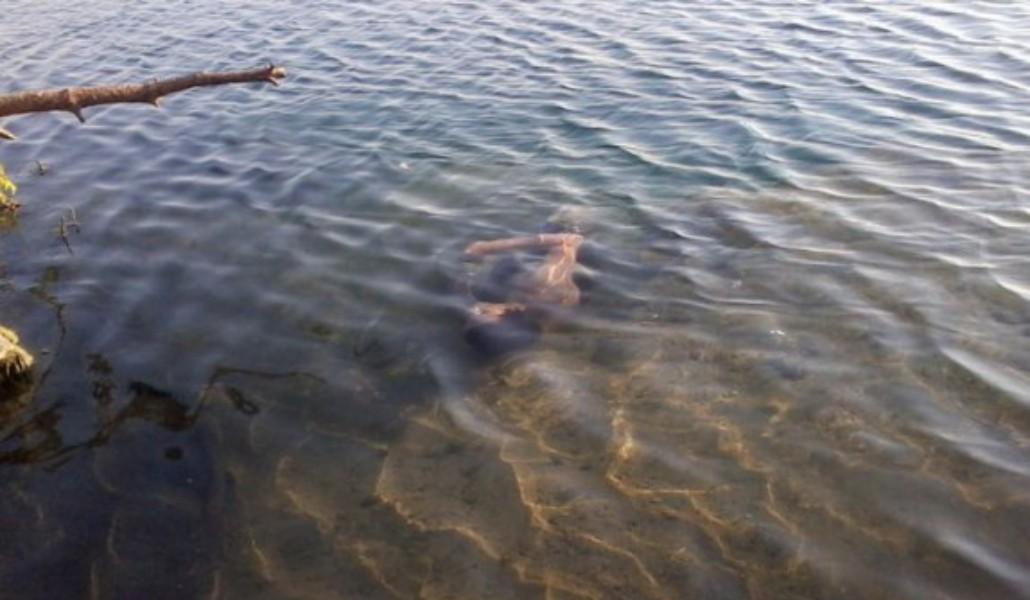 1493631250_2893.thumb_