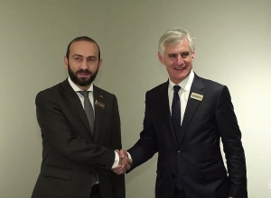 С главой МИД Австрии затронули гуманитарные проблемы, требующие срочного решения