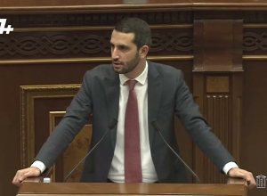 Госпожа Григорян, у Вас неверное представление об отношениях между парламентариями: Рубинян