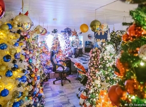 Գերմանացին իր փոքր բնակարանում 444 տոնածառ է տեղադրել