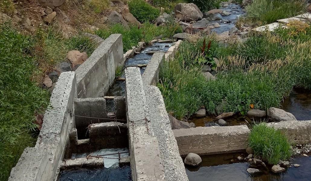 264435411_221152423498141_3741850425152925460_n