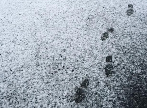 В Артикском регионе небольшой снег