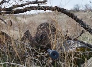 Ուսումնավարժանք՝ զորամասում
