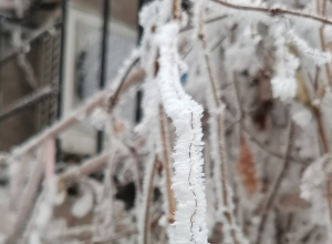 2002թ․-ի այս օրերին Արարատյան դաշտում և Երևանում գրանցվել են ամենասաստիկ սառնամանիքները․ Սուրենյան