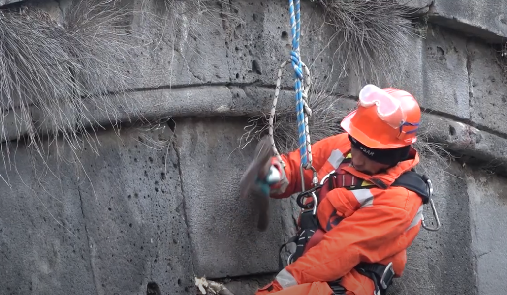 269757110_1275480056286103_2924645099641350889_n